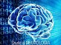 STUDIO DI NEUROLOGIA DOTT. PICCIRILLO - CASERTA