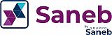 GRUPPO SANEB - ROMA 