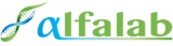 ALFALAB ARTENA - ROMA 