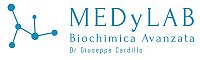 MEDYLAB - SOMMACAMPAGNA 