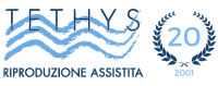 TETHYS CENTRO PMA - VERONA 