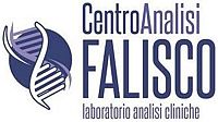 CENTRO ANALISI FALISCO - FABRICA DI ROMA 