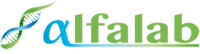 ALFALAB - VALMONTONE 