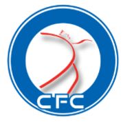 CFC CENTRO FISIOTERAPICO CANAVESANO - LEINI 